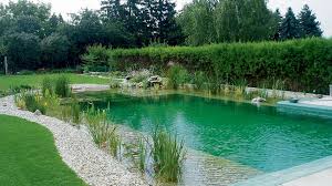 Natural Pools and Ponds